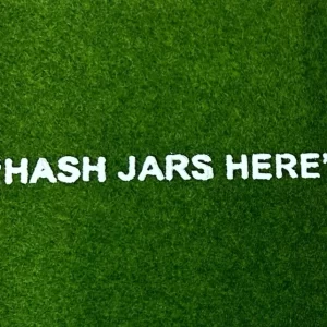Red Panda Express | TERP TURF “HASH JARS HERE”