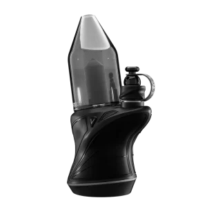 Focus V | Carta Sport |