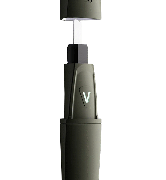 Focus V | Saber